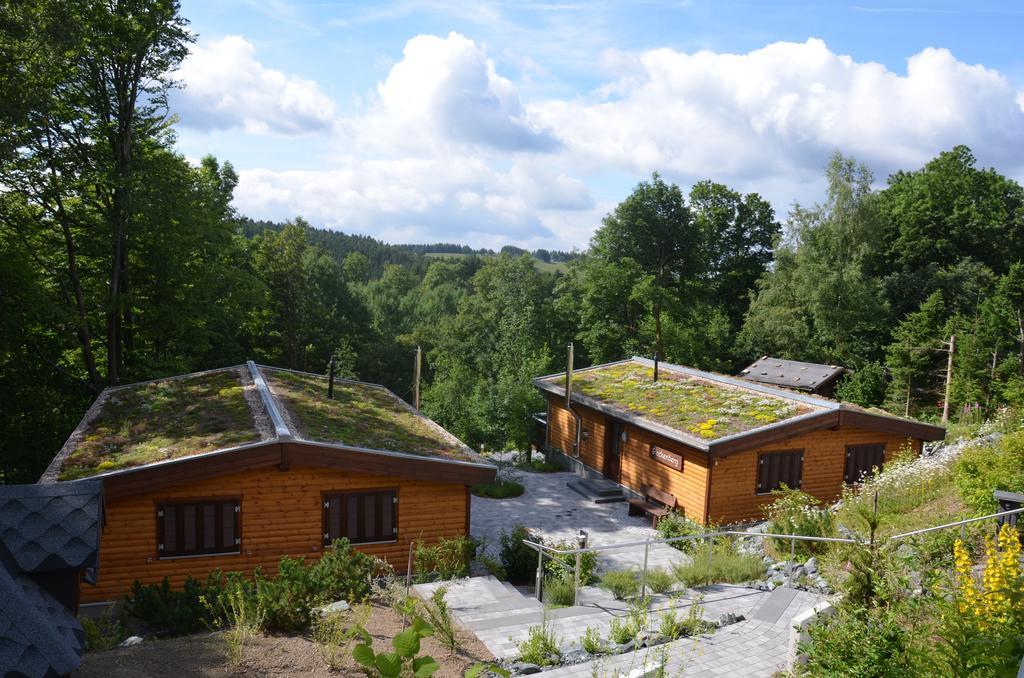 Landhaeuser Bergwiese Sankt Andreasberg Exterior foto